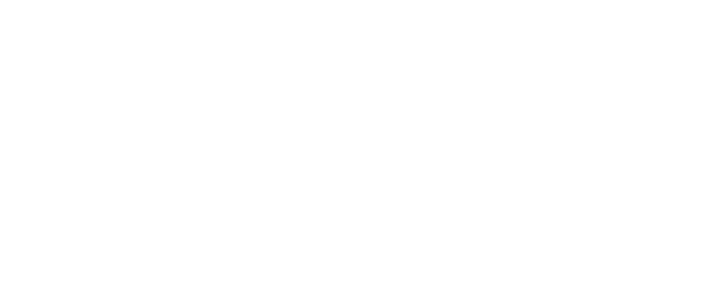 Logo thenetworkone