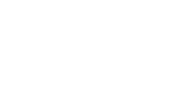 bvik-logo-white